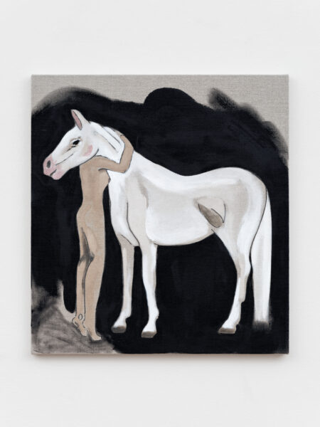 Human/Horse N°24 - Anouk Lamm Anouk