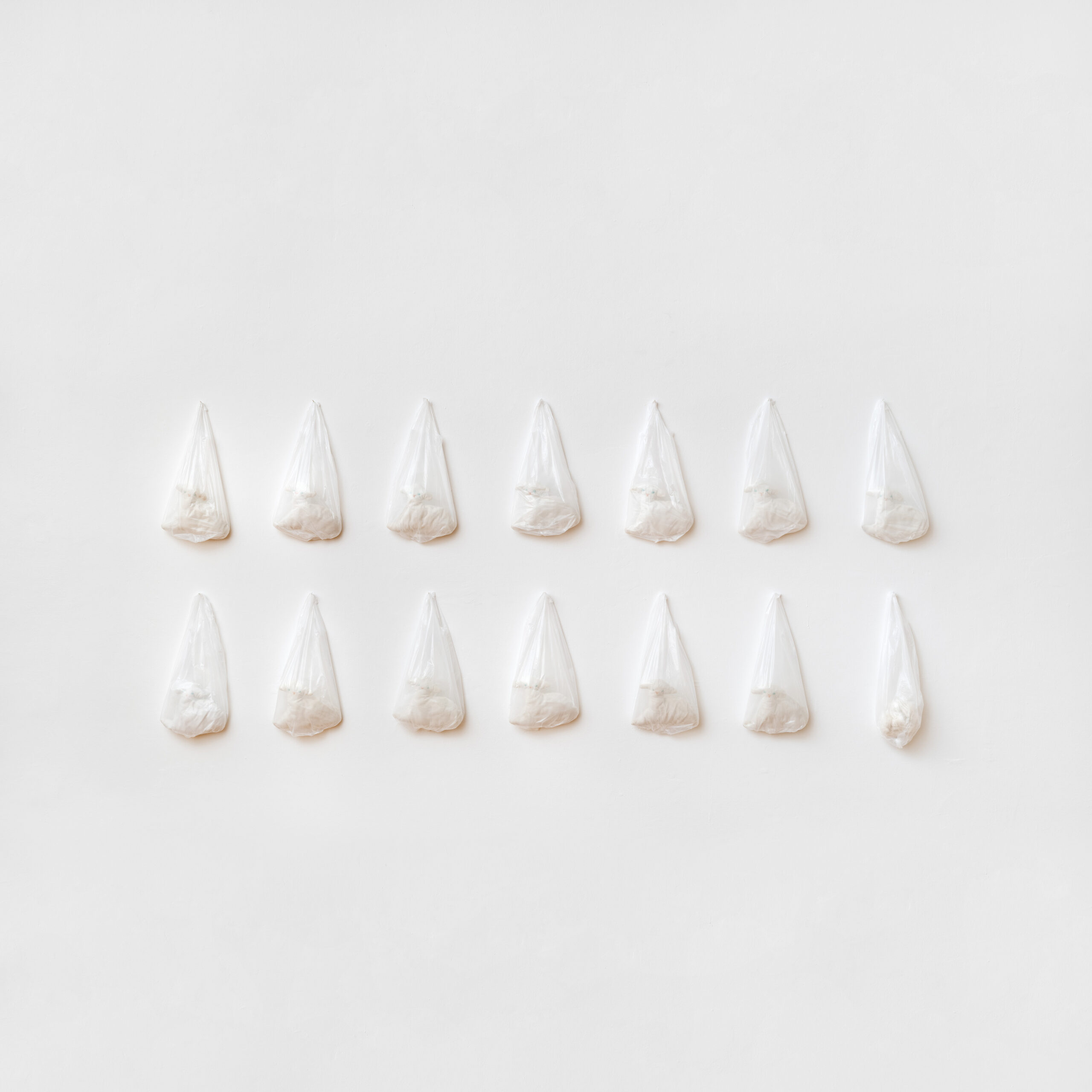 13 lambs installation Anouk Lamm Anouk - Anouk Lamm Anouk