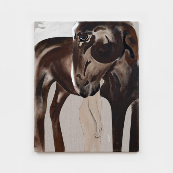 Human/Horse N°25 - Anouk Lamm Anouk